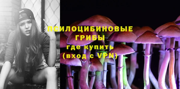 ешки Каменногорск