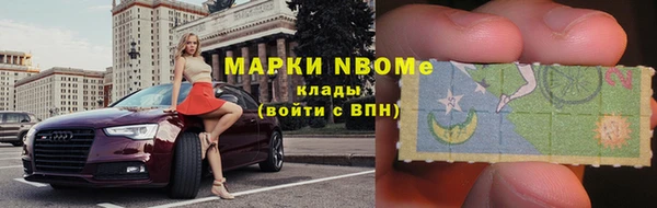 мдпв Каменка