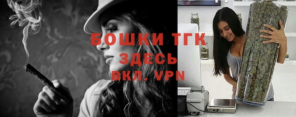 ешки Каменногорск