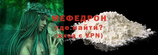 мдпв Каменка