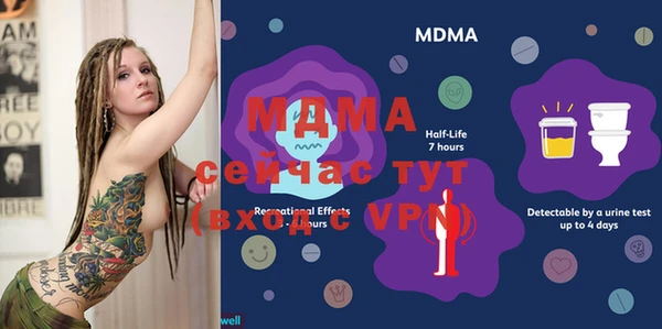 мдпв Каменка
