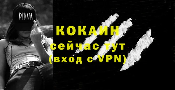 ешки Каменногорск