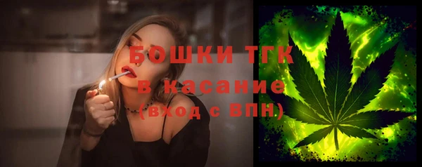 ешки Каменногорск