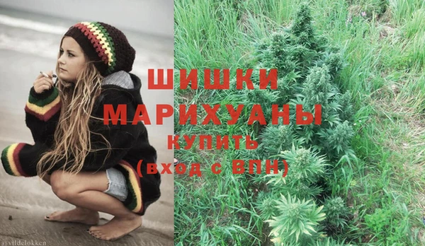 мдпв Каменка