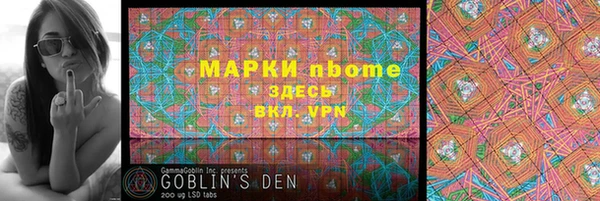 мдпв Каменка