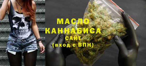 мдпв Каменка