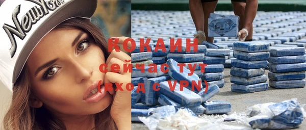 мдпв Каменка
