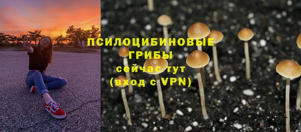 кокаин премиум Каменск-Шахтинский