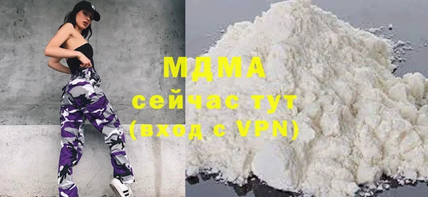 мдпв Каменка