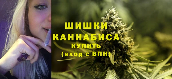 мдпв Каменка