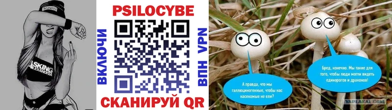 Купить  Бежецк  Псилоцибиновые грибы прущие грибы 