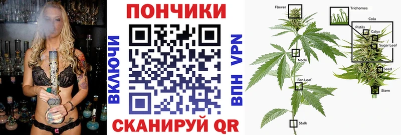 Купить  Бежецк  Канабис планчик 